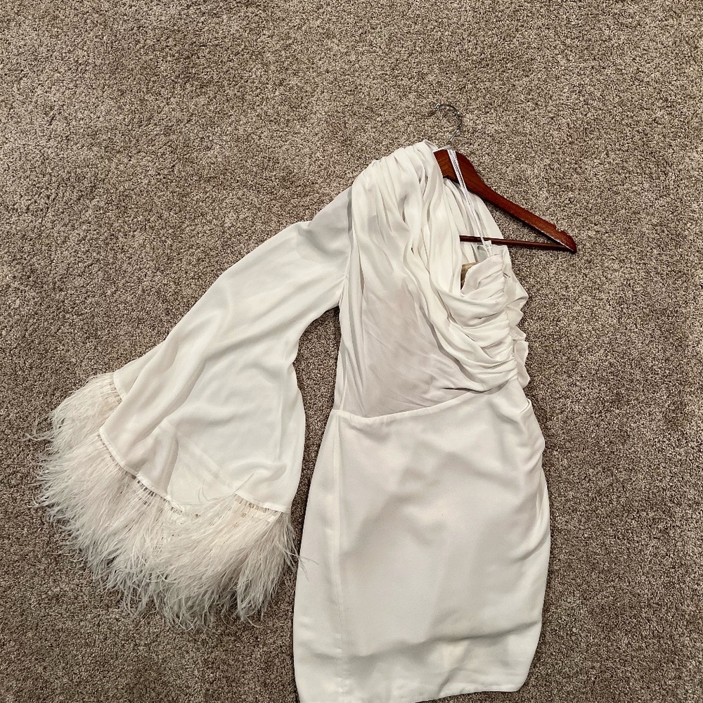 Bronx & Banco Feather Sleeve Dress